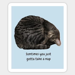 Take a Nap (kitty) Sticker